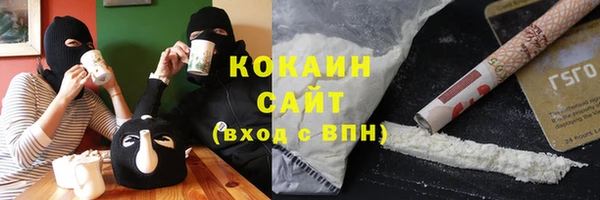 СК Осинники
