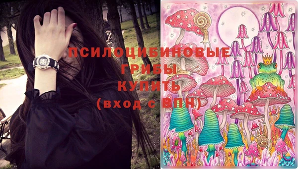 соль ск Осташков