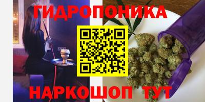 трава Абакан