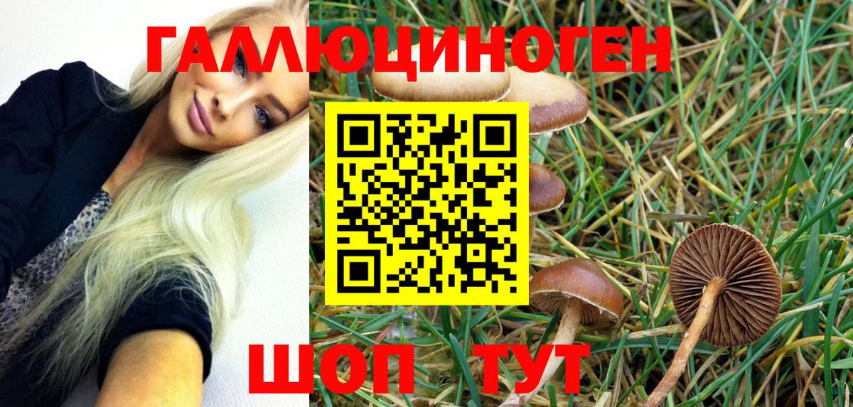 Галлюциногенные грибы ЛСД Казань