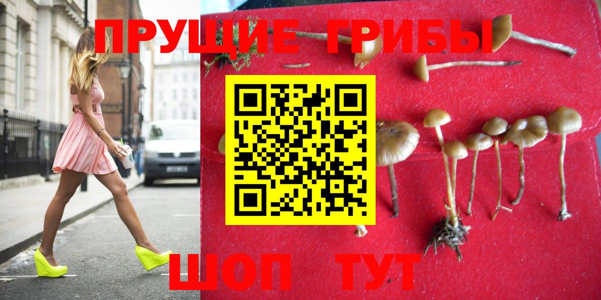 Галлюциногенные грибы Psilocybine cubensis  Вход с VPN  Казань  Галлюциногенные грибы мухоморы 