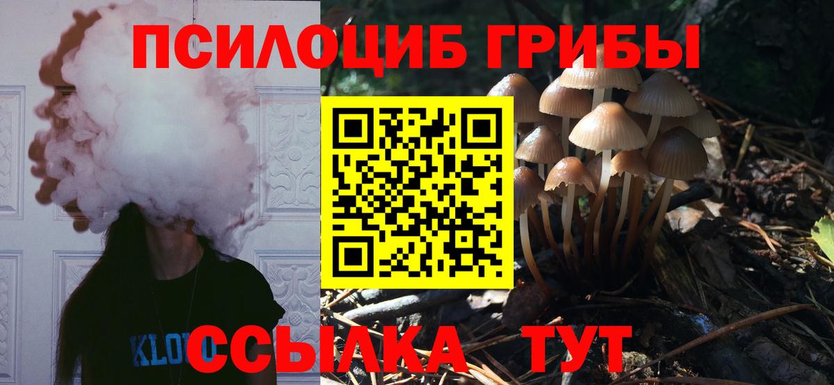 Казань  Каннабис  Меф кристаллы  Вход с VPN  ГАШИШ  КОКАИН  МЕТ 