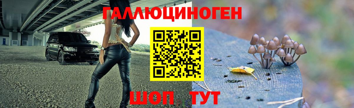 Псилоцибиновые грибы мухоморы  Галлюциногенные грибы MAGIC MUSHROOMS  Казань 